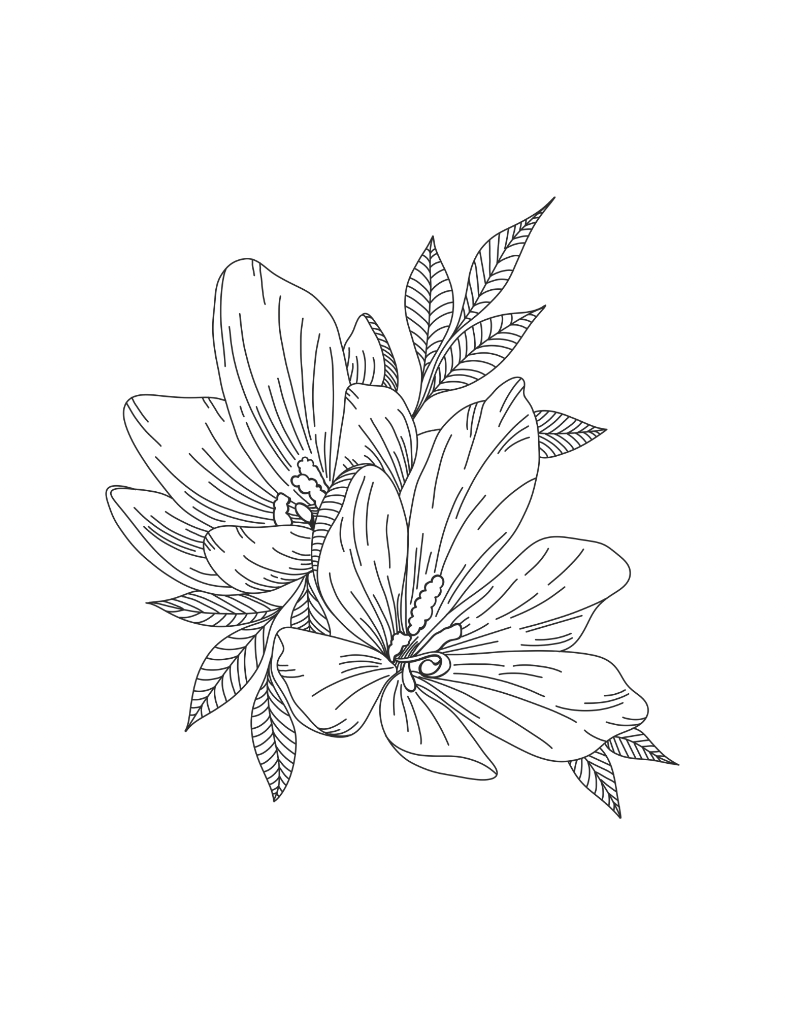 Flowers