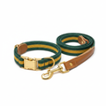 Collar and Leash Combo
